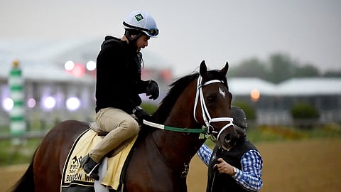 Preakness Stakes entrant Bourbon War is led off the track after exercising, Thursday, May 16, 2019, at Pimlico Race Course in Baltimore. The Preakness Stakes horse race is scheduled to take place Saturday, May 18. (AP Photo/Will Newton)