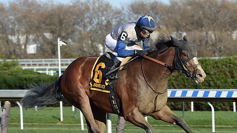 Saguaro Row, winning the Pumpkin Pie in November