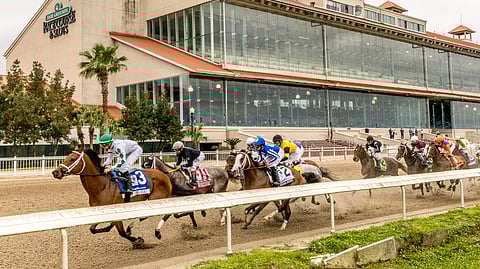Racing at Fair Grounds race course in New Orleans. 