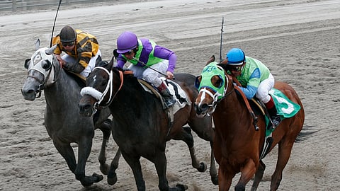 Racing at Belmont Park