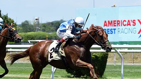 Alda, shown here racing at Belmont earlier this year, is Garrity's pick in the $100,000 Catch A Glimpse Stakes, the 7th race at Woodbine