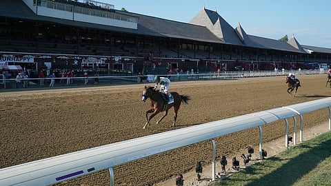 Gamine, winning The Test at Saratoga in August, may be the biggest favorite of the day in Saturday's first Breeders Cup race.