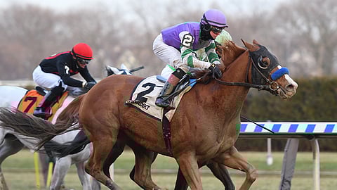 Stan the Man, winning the Queen's County in December 2019, is Garrity's pick in the Gravesend.