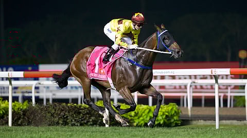 Southern Legend, shown here, is Garrity's pick to win the Queen’s Silver Jubilee Cup at Sha Tin