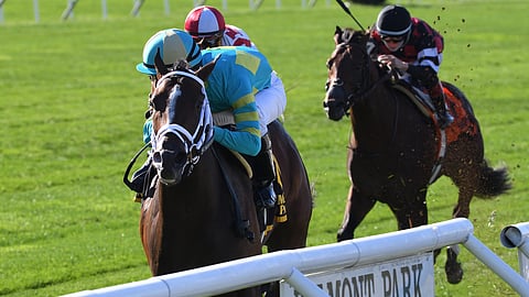 Fire at Will, winning The Pilgrim at Belmont in October 2020, races today at Keeneland.