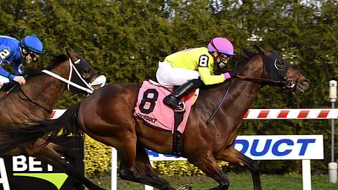 Delaware, winning the Danger's Hour Stakes at Aqueduct in April, is one of Garrity's picks today. 