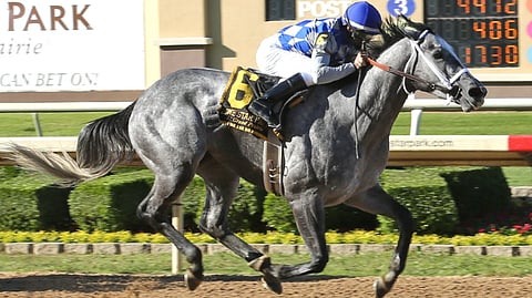 Racing at Lone Star Park.