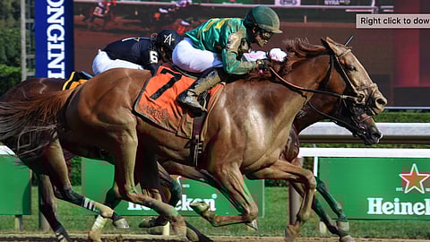 Royal Flag, en route to winning the Shuvee in July, is Garrity's pick today in the Beldame.