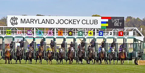 Racing at Laurel Park.