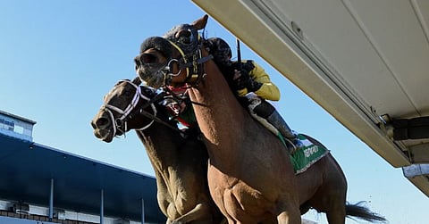 Forewarned won a stakes race yesterday for trainer Uriah St. Lewis, who has longshot Go Lime today. 