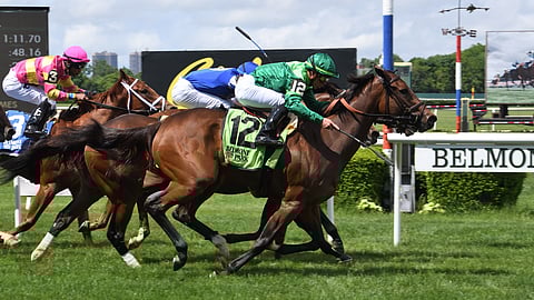 Lakota Spirit was one of God's Tipster's winners yesterday at Belmont.