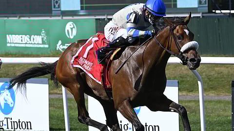 Sail By, winning the Miss Grill in October 2021 is the pick in the Grade 3 9th race.