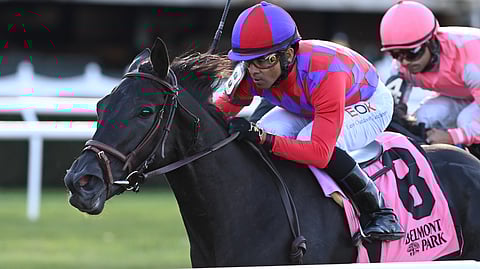 Myhartblongstodady, winning the 2021 Hettinger Stakes at Belmont Park.