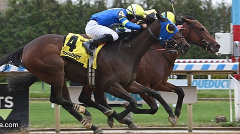 Racing at Aqueduct.