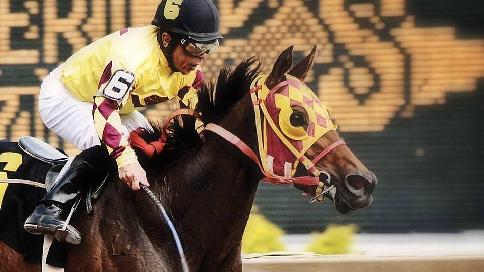 Thoroughbreds Monday RT Picks the early races at Finger Lakes, before