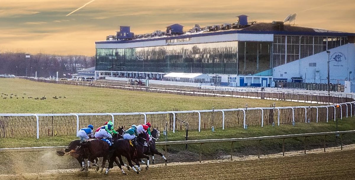 Garrity's Saturday Stakes picks Laurel Park, Santa Anita, G1 Queen