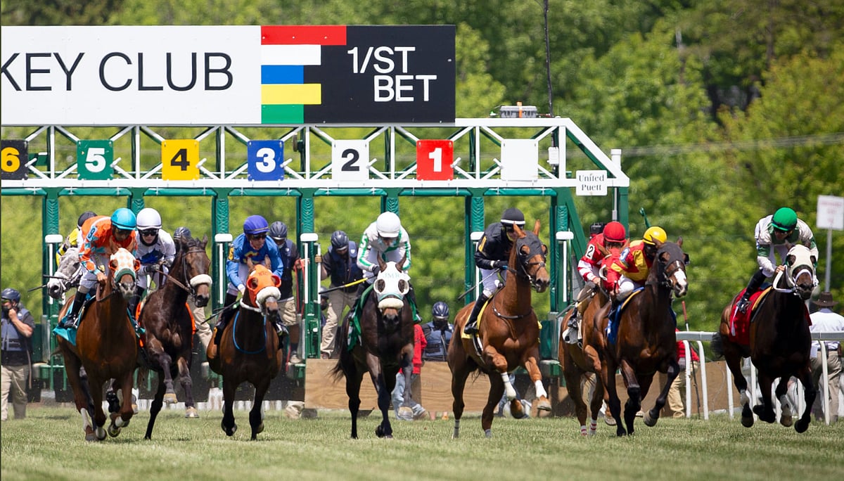 Garrity's Friday Dad's Hat Happy Hour Handicapping picks Pimlico