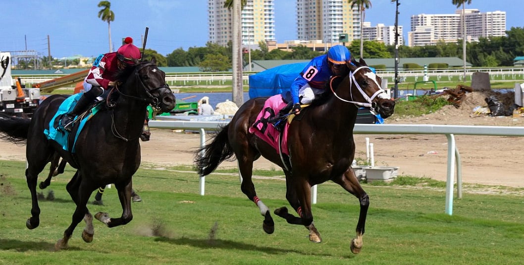 Garrity's Saturday Stakes picks 3 graded races at Gulfstream Park, the