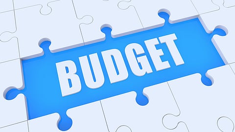 Budget secured, GNU remains - John Matisonn