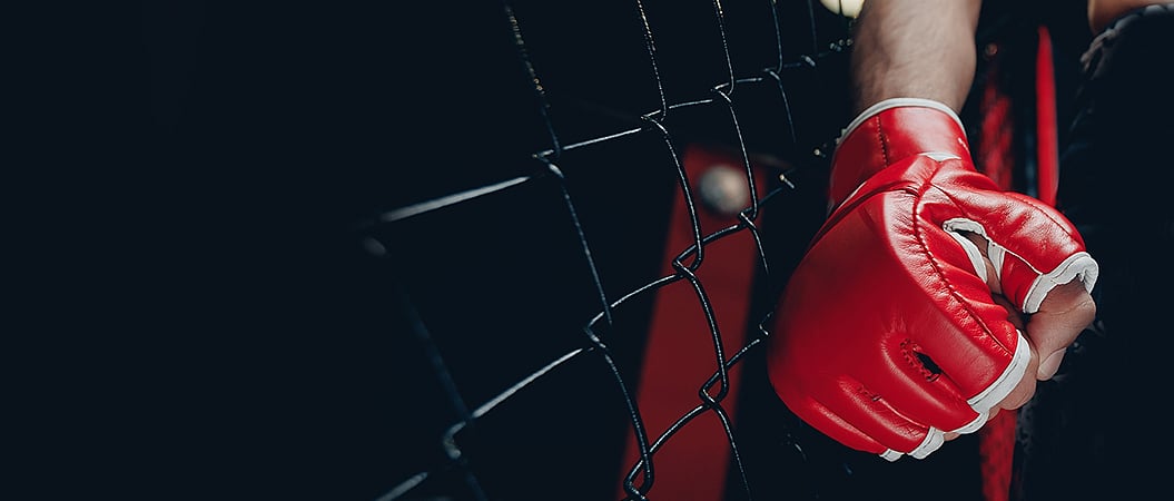 The fight business - The ins and outs of the international combat sports scene