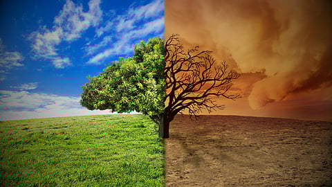 The Economist: Curbing climate change requires politics of the possible
