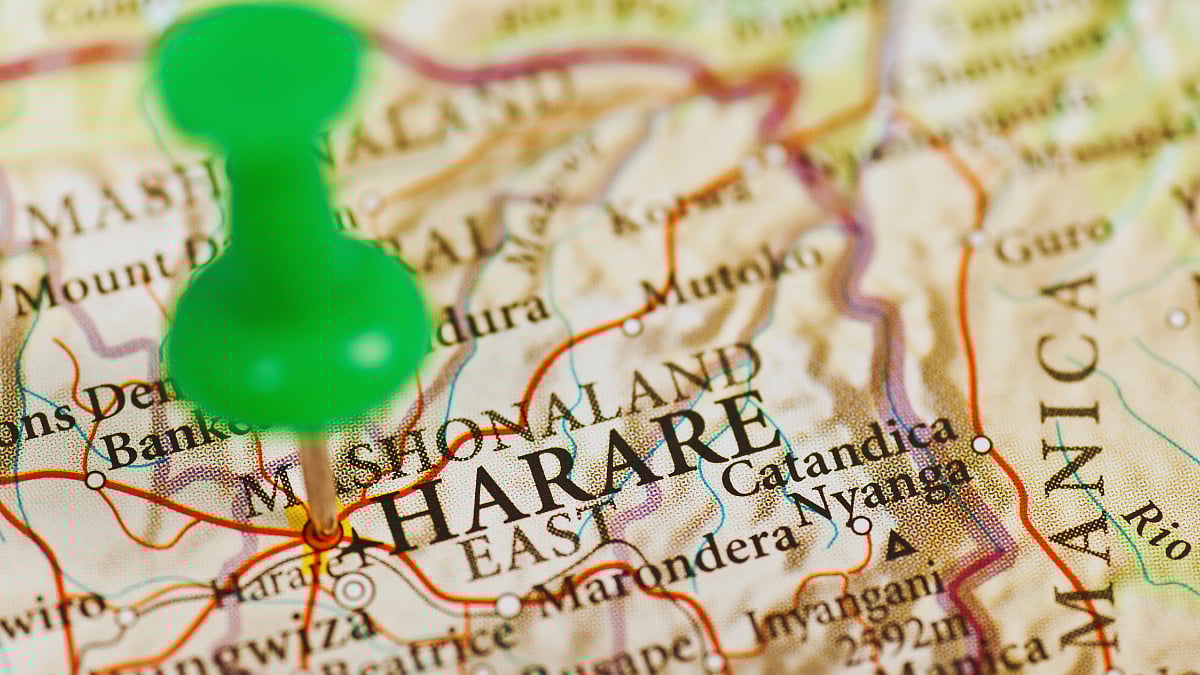 Cathy Buckle: The threads that connect us to Zimbabwe
