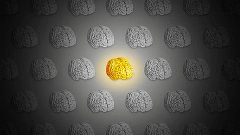 The Economist: How to spot a genius