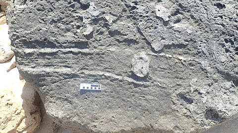 The probable hyrax butt-drag trace; the feature to the right of centre is interpreted as a probable coprolite (fossilised dung).