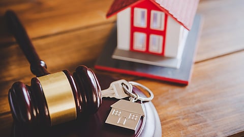 President’s expropriation admissions signal battles to come