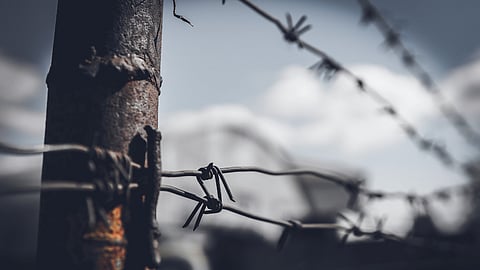 Jewish voices push back on genocide claims: Marika Sboros