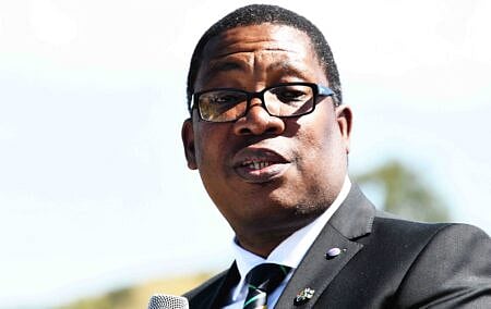 A portrait photograph of Gauteng Premier Panyaza Lesufi