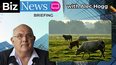 BN Briefing: SA’s foot-and-mouth crisis: How state failure threatens farmers and food Security