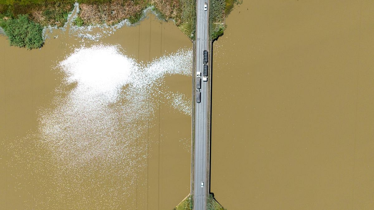 Patrice Motsepe-backed transport platform Linebooker