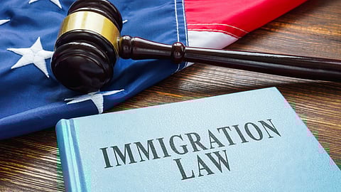 Kenneth Rogoff on BizNews: The massive costs of anti-immigration policies