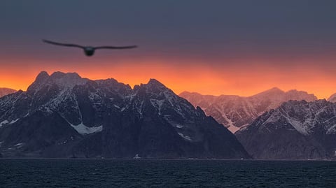 The Economist: White House weighs Greenland acquisition, Denmark in shock