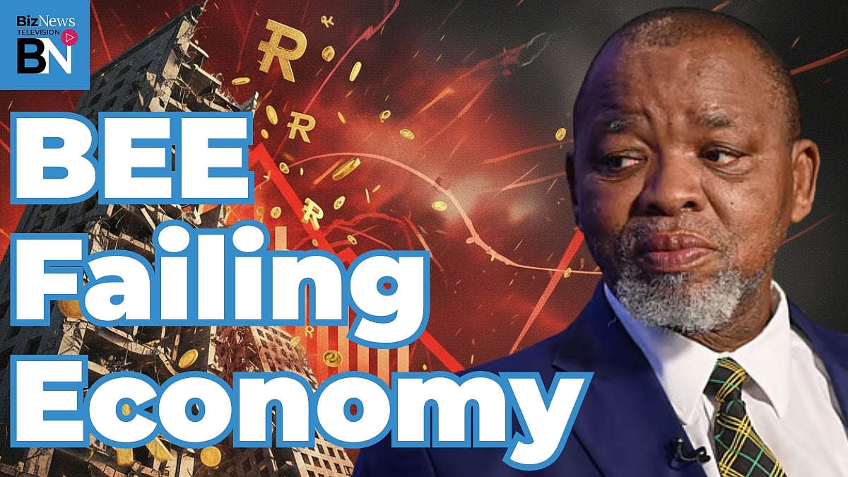 Director's Cut: BEE is breaking South Africa - Gerhard Papenfus v Gwede Mantashe