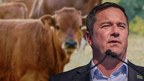 Sakeliga: Appropriate response from Minister Steenhuisen still outstanding