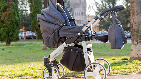 FT's Martin Wolf: Gender roles to blame for collapse in fertility rates