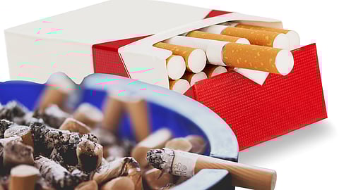 BAT shuts South Africa plant after years of illegal tobacco warnings