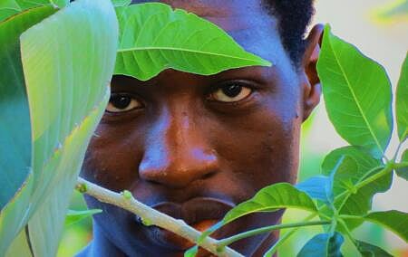 SLR: Mugabe's evil son - Not even savages shoot Malawian gardeners