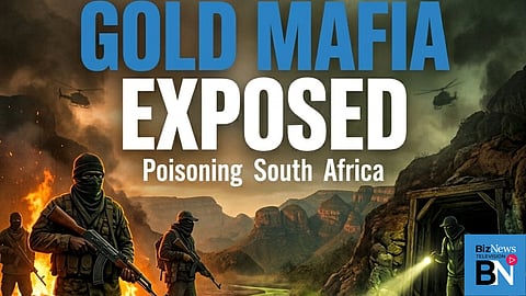 Illegal gold mining gangs are poisoning South Africa’s wildlife heartland
