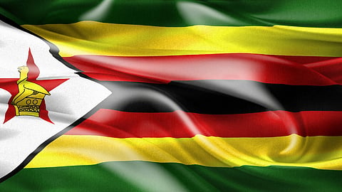 Cathy Buckle: 'Go back to where you came from' Zim settlers are being told
