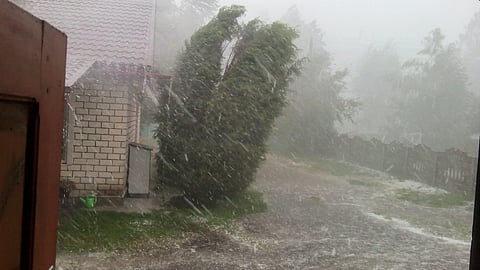 Storms, no cover, no comeback: Why SA agriculture is sitting on a ticking time bomb