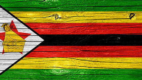 Cathy Buckle - Zimbabweans' exodus from SA: “We are no longer wanted here.”
