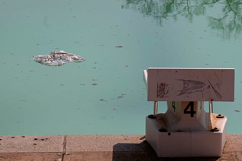 PRETORIA, SOUTH AFRICA – SEPTEMBER 01: The state of infrastructure at Hillcrest public swimming pool on September 01, 2025 in Pretoria, South Africa. It is reported that public swimming pools in the Tshwane metro remain closed due to delays in the delivery of chlorine. (Photo by Gallo Images/Beeld/Deaan Vivier)
