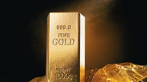 Duarte da Silva: SA's richest goldmine is the bin — and almost nobody's mining it