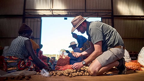 The Economist: White Zimbabweans return to farming