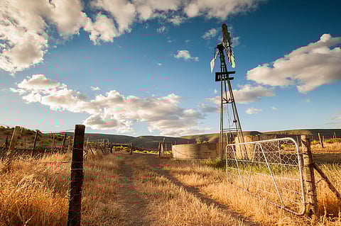 Worldview: Farm murder case ignites outrage as witness claims victims were fed to pigs