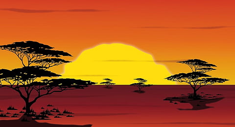  Hakuna Matata: How Disney stole an African phrase