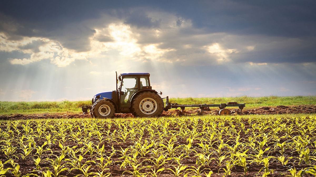 The enduring legacy of SA farms: has nothing changed?